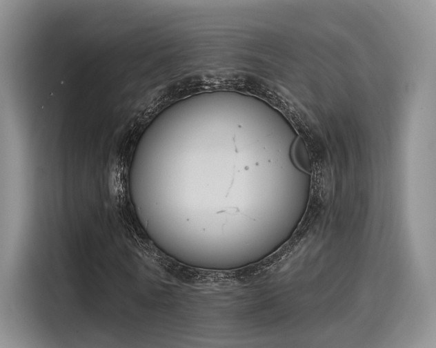 X0000116030770200911271135