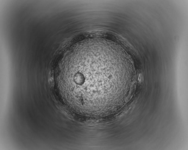 X0000116030771200911271135