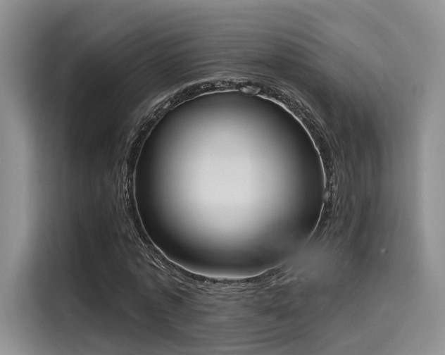 X0000116030773200911271135