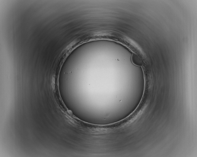 X0000116030777200911271135