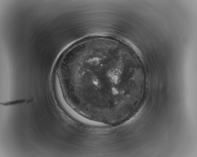 X0000116030779200911271135