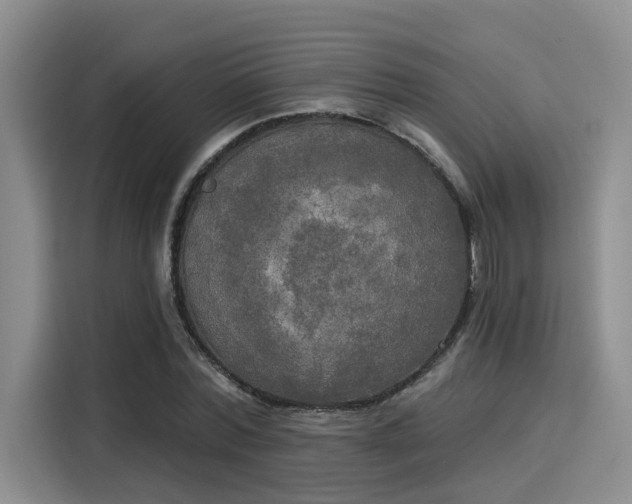 X0000116030780200911271135