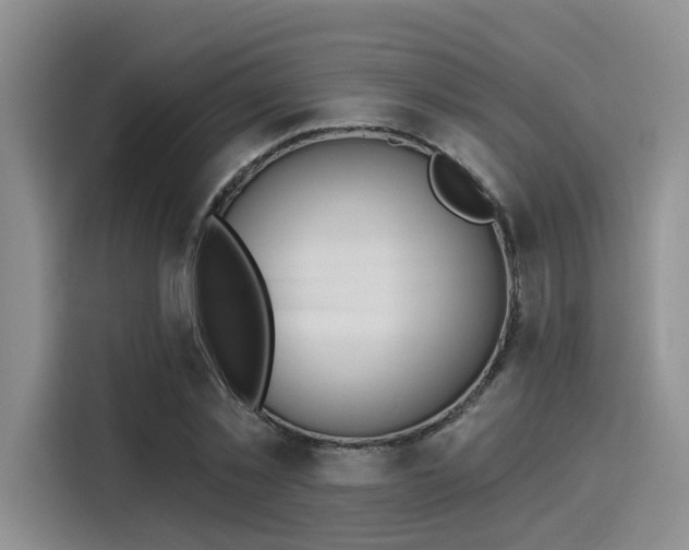 X0000116030781200911271135
