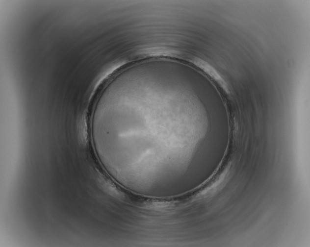 X0000116030782200911271135