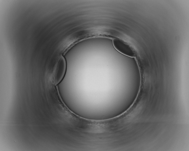 X0000116030785200911271135