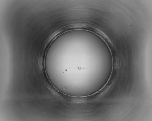 X0000116030786200911271135