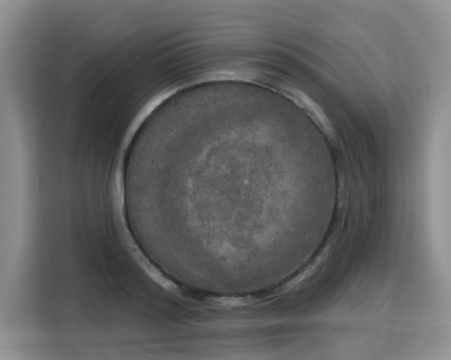 X0000116030796200911271135