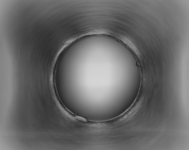 X0000116030797200911271135