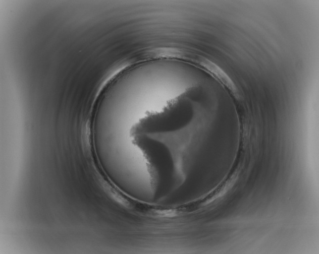 X0000116030798200911271135
