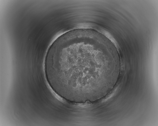 X0000116030803200911271135