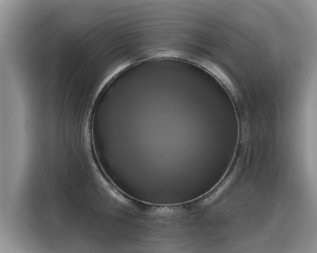X0000116030806200911271135