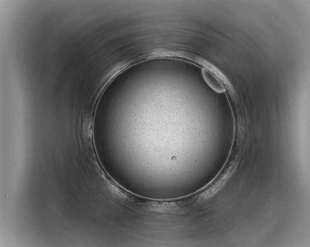X0000116030809200911271135