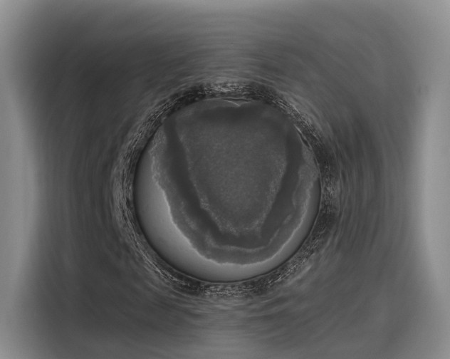 X0000116030817200911271134
