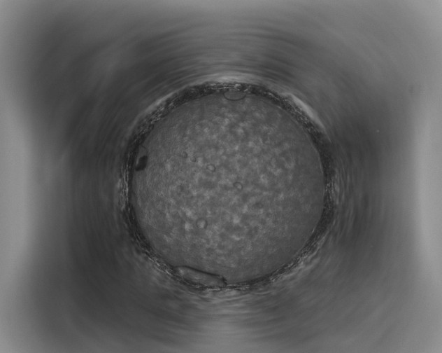 X0000116030821200911271134