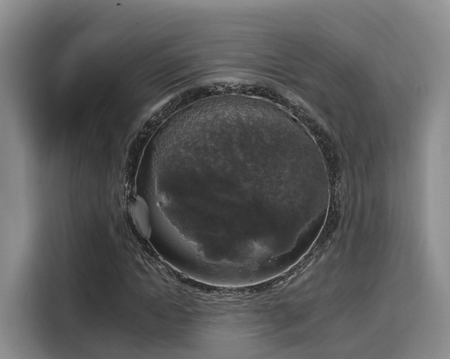 X0000116030822200911271134