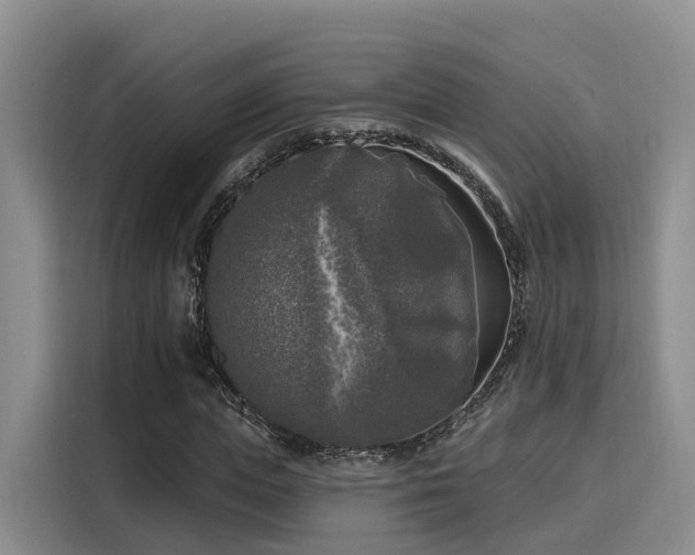 X0000116030823200911271134