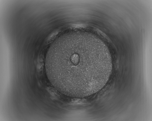 X0000116030824200911271134