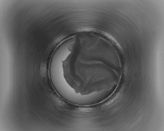 X0000116030825200911271134