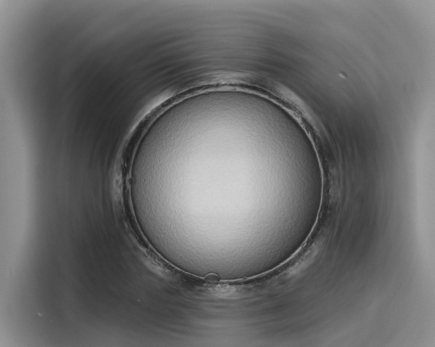 X0000116030827200911271134
