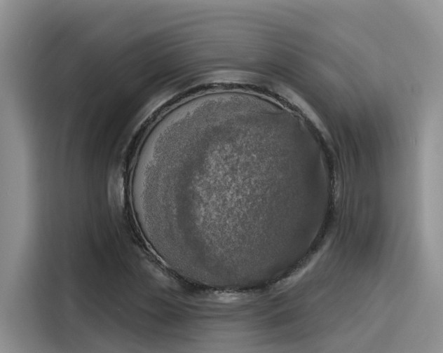 X0000116030829200911271134