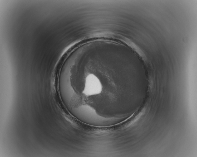 X0000116030830200911271134