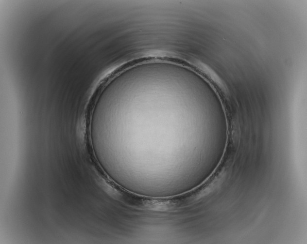 X0000116030831200911271134