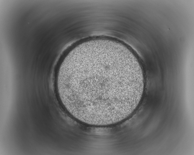 X0000116030832200911271134