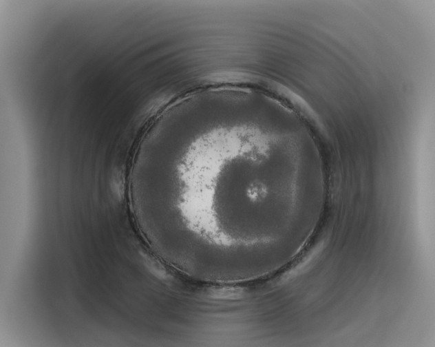 X0000116030833200911271134