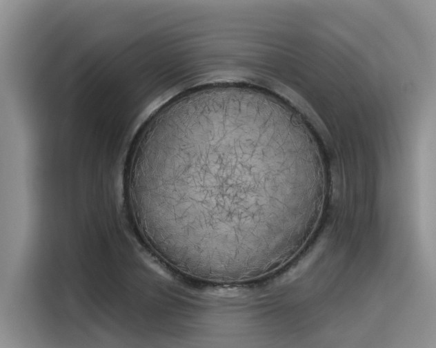 X0000116030834200911271134
