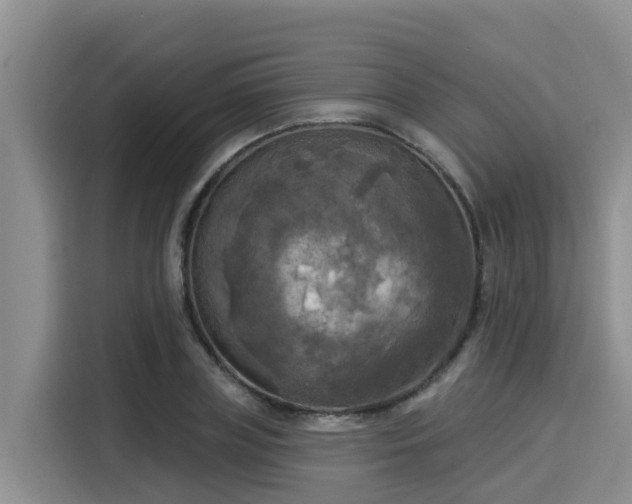X0000116030835200911271134