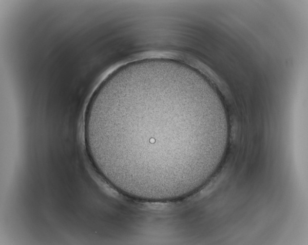 X0000116030836200911271134