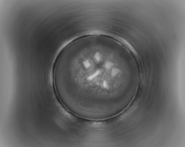 X0000116030839200911271134