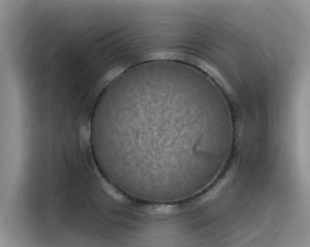X0000116030841200911271134