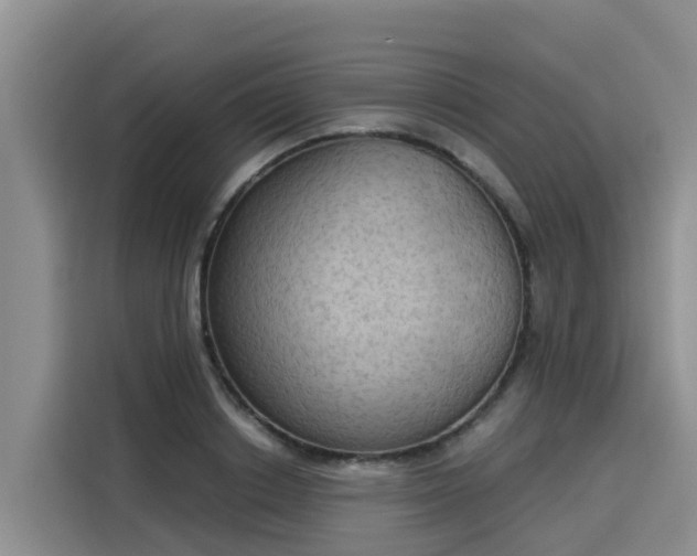 X0000116030842200911271134