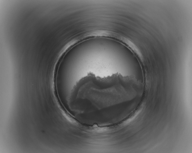 X0000116030845200911271134