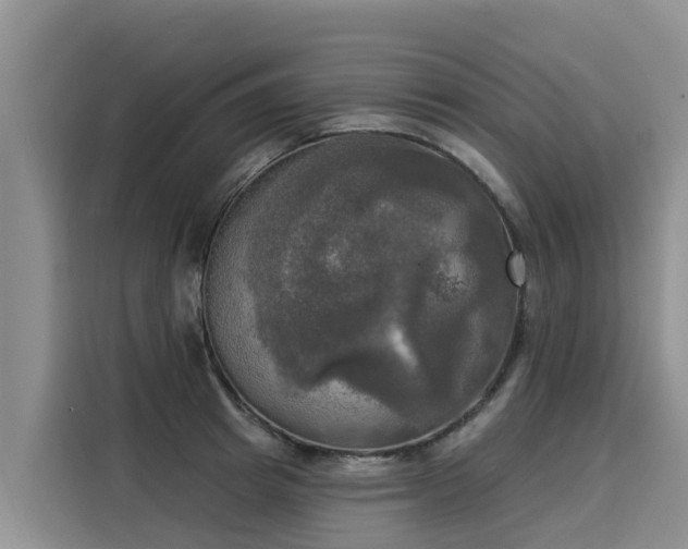 X0000116030849200911271134