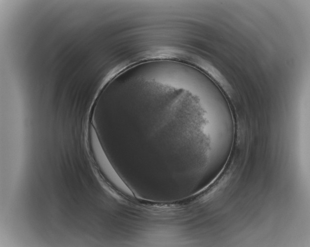 X0000116030850200911271134