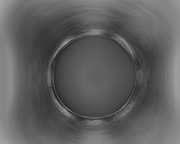 X0000116030851200911271134