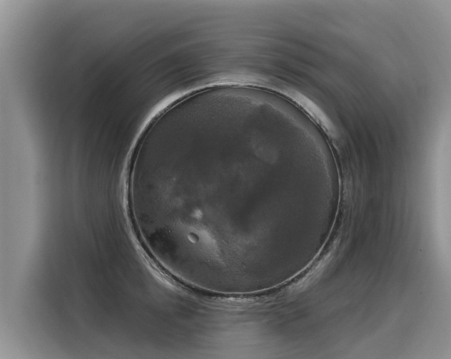 X0000116030854200911271134
