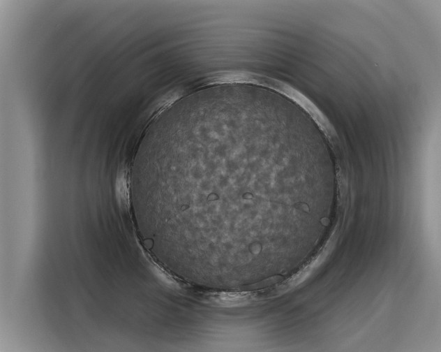 X0000116030857200911271134