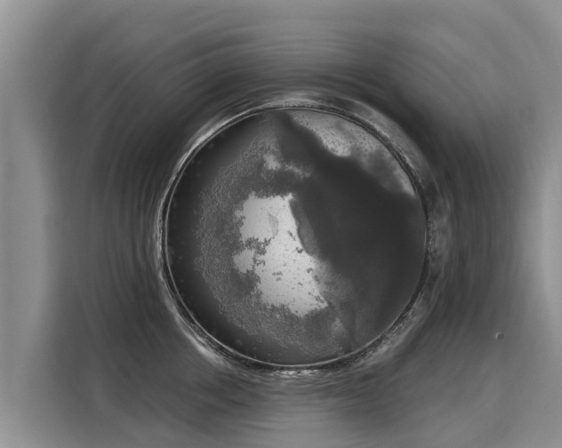 X0000116030858200911271134