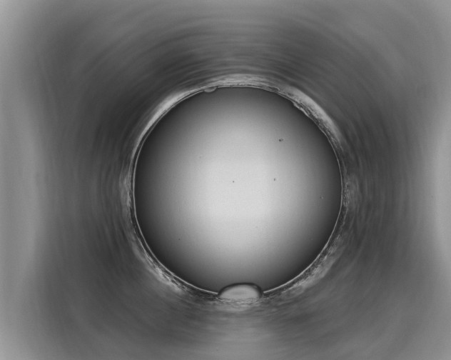 X0000116030860200911271134