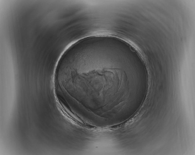 X0000116030864200911271134
