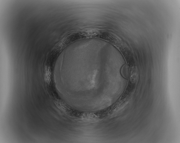 X0000116030866200911271134