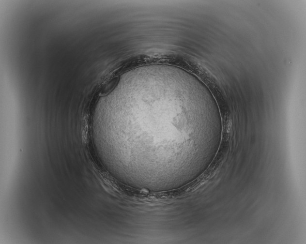 X0000116030868200911271134
