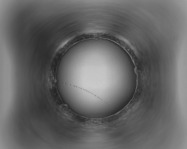X0000116030871200911271134