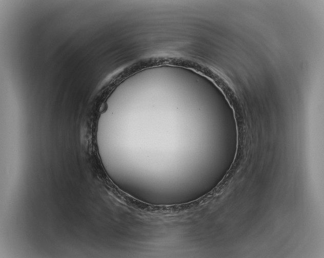 X0000116030872200911271134