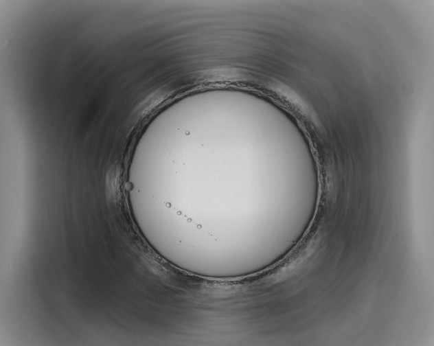 X0000116030873200911271134