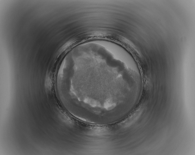 X0000116030874200911271134