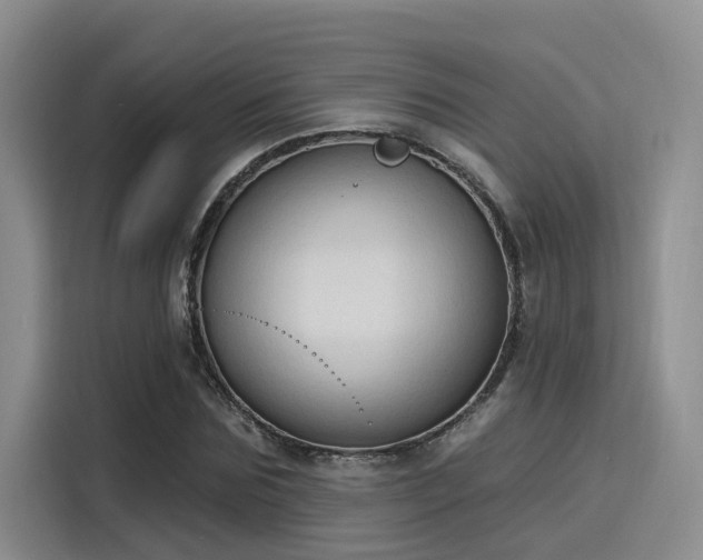 X0000116030875200911271134